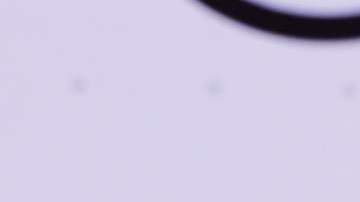 Verónica Bastos, presentadora mexicana de televisión.