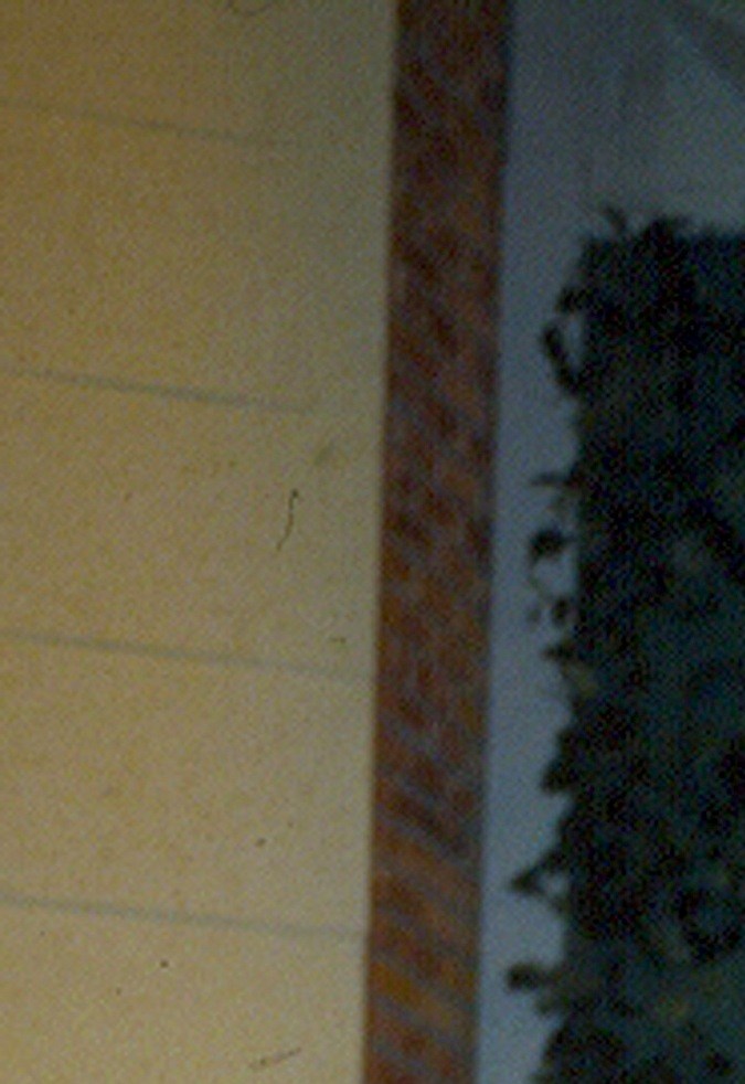 Galilea Montijo en 1998. 