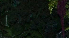 Ela Velden, actriz mexicana