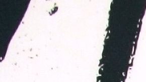 Presentación de "Los Artistas: Primeros Trazos"