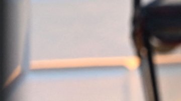 Eva Longoria en la Casa Blanca.