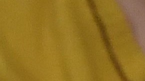 Bad Bunny y Kendall Jenner