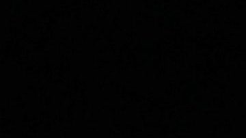 Tenoch Huerta, actor mexicano