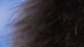 Gerard Piqué retiró orden de alejamiento contra Jordi Martin