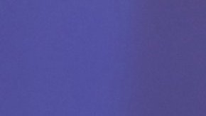 Madison Anderson, modelo puertorriqueña.