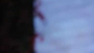 Águeda López y Lele Pons