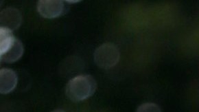 Dayanara Torres fue la madrina del libro de Daniel Campos