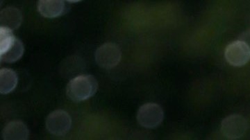 Dayanara Torres fue la madrina del libro de Daniel Campos