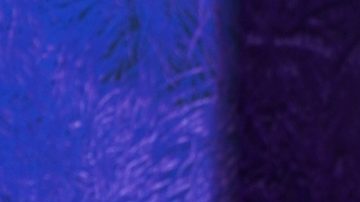 Ángela Aguilar en Premios Juventud 2023.