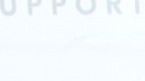 Alicia Machado, actriz venezolana.