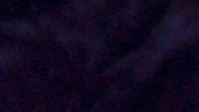 Daniela Di Giacomo, fashionista.