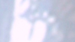 Danna Paola, cantante mexicana.