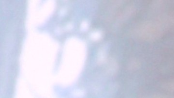 Danna Paola, cantante mexicana.