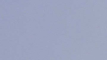 Joe Manganiello and Sofía Vergara