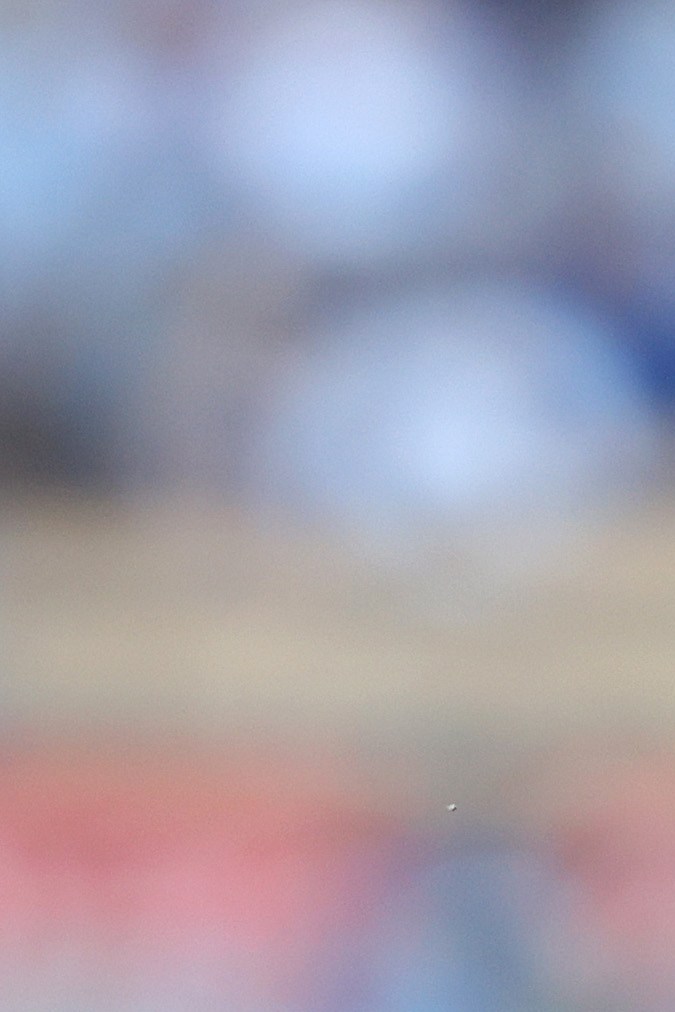 La transformación de las estrellas: Peso Pluma