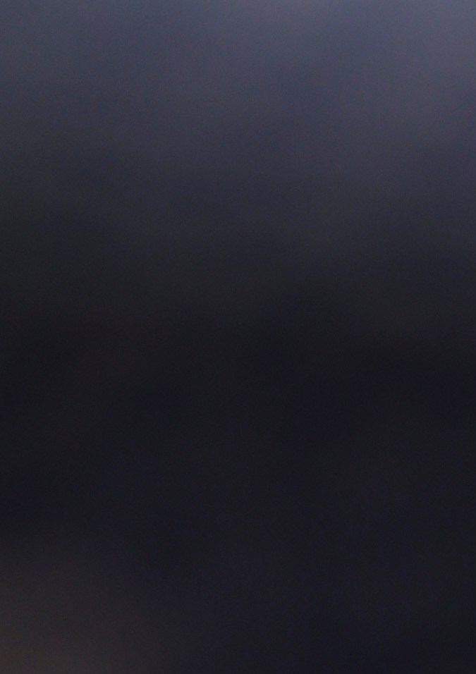 Actor, Robert Downey Jr.