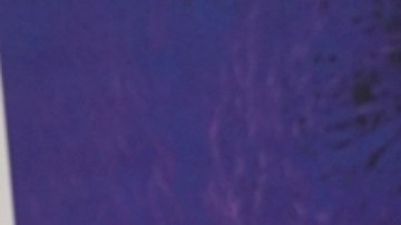 Lili Estefan, presentadora de televisión.