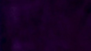 Lili Estefan, presentadora de televisión.