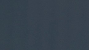 Vicente Saavedra y Clarissa Molina.