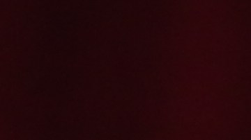 Carlos Adyan y su novio revelan el posible lugar para su futura boda