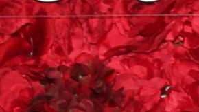 ¿Aylín Mujica ya tiene reemplazo definitivo en ‘La Mesa Caliente’?