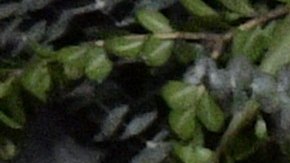 El Señor de los Cielos