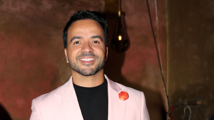 Cantante puertorriqueño, Luis Fonsi