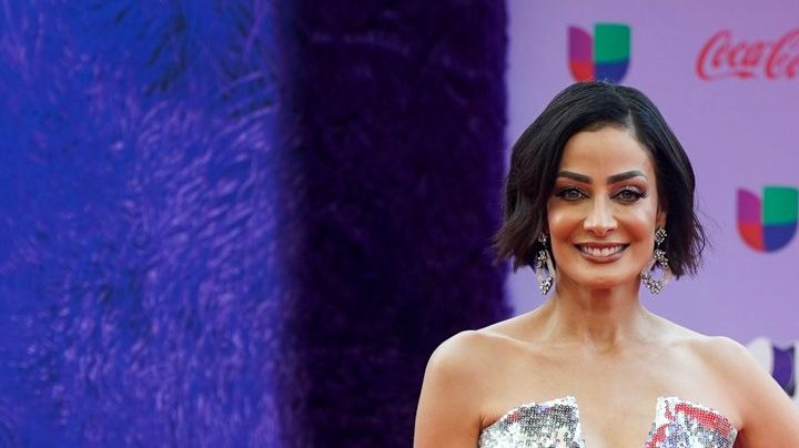 Dayanara Torres, exreina de belleza