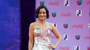 Dayanara Torres, exreina de belleza