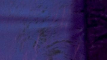 Lili Estefan, presentadora de televisión