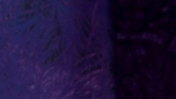 Chiquis Rivera, cantante