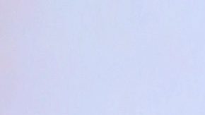 Francisca en "Despierta América".