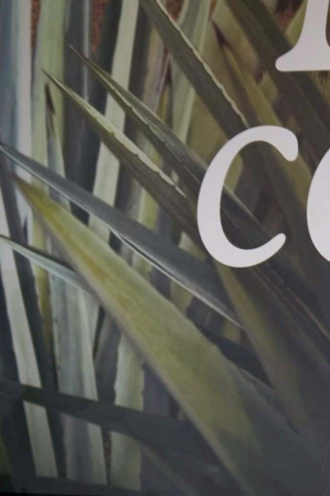 Irina Baeva, actriz rusa. 