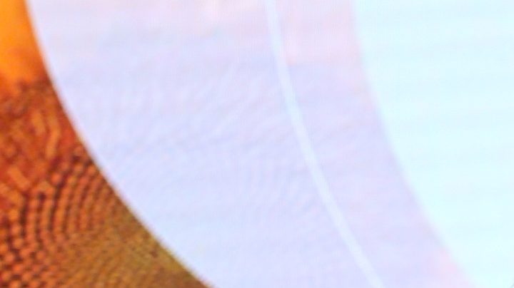 Ana Patricia Gámez.