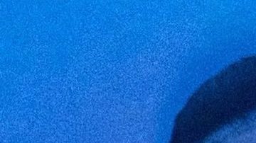 Yailin La Más Viral y Tekashi 6ix9ine disfrutan de su amor. Foto: Instagram Yailin