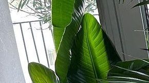 Ninoska Vásques presume su noviazgo con Vicente Saavedra. Foto: Instagram Ninoska Vásquez