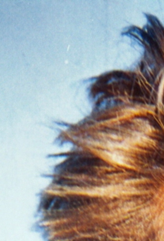 Luis Miguel, cantante mexicano