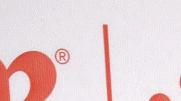 Cynthia Urías como conductora en 'Despierta América'