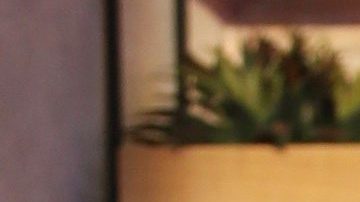 Rashel Díaz se va de Miami ¿Cuál es la razón?