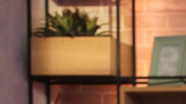 Rashel Díaz se va de Miami ¿Cuál es la razón?