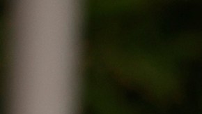 Carlos Adyan de 'En Casa con Telemundo' cuenta detalles de su debut teatral y sus planes de boda