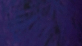 Chiquis Rivera, cantante.