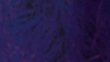 Chiquis Rivera, cantante.