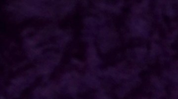 Chiquis Rivera reveló sus planes de boda y maternidad a Raúl de Molina