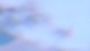 Francisca, presentadora de televisión.