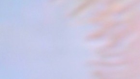 Francisca, presentadora de televisión.