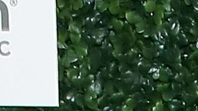 Francisca, presentadora de televisión.