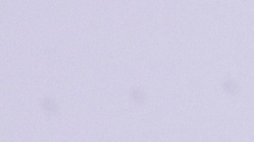 Andrea Meza asumirá un nuevo reto profesional