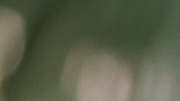 Jwan Yosef y Ricky Martin