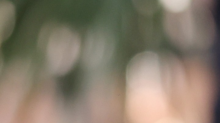 Jwan Yosef y Ricky Martin